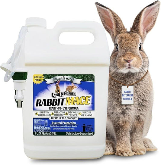 Nature’s Mace Rabbit MACE, Rabbit Deterrent for Yard, Rabbit Repellent Outdoor, Mint Scent Rabbit Spray, Garden, Lawn, Keep Rabbits Out, 1 Gallon Ready to Use, Safe Around People, Pets, Plants