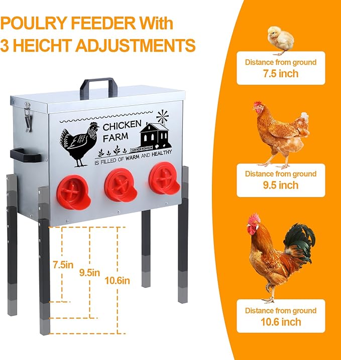 Automatic Chicken Feeder Box 30 lbs, 6 Feeding Ports, No Waste Poultry Feeder with Locking Lid and Adjustable Legs for Chickens, Ducks, Geese Galvanized Metal (30 Lbs-6 Ports)