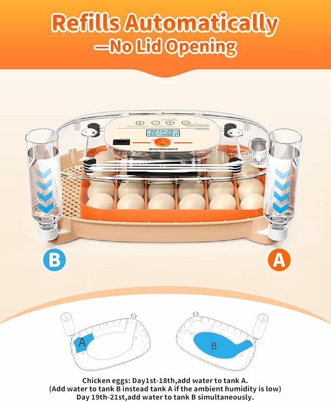 Egg Incubator for 24 Chicken Eggs with Automatic Turner, Digital Temperature Control & Humidity Display, Candler, Poultry Hatcher for Chicken, Duck, Quail, Birds (Orange)