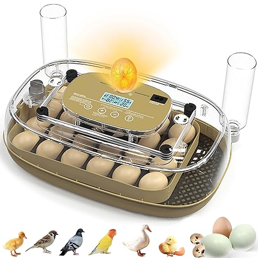 Incubators for Hatching Eggs, 24 Egg Incubator with Automatic Egg Turning and Humidity Control, Egg Candler, 360° Viewing, Chicken Incubators for Hatching Eggs, Quail Eggs, Duck Eggs Poultry