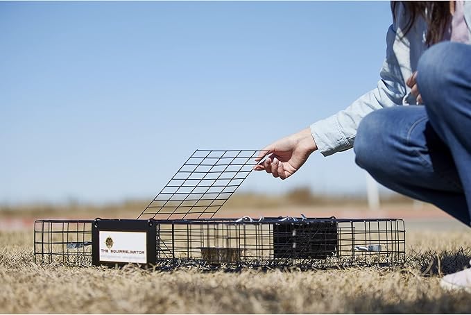 Rugged Ranch 2‑Pack Squirrelinator Multi‑Catch Squirrel Trap with Basin, Wire Cage, 25"x15"x6.5" Each - Live Catch‑and‑Release, 2‑Door Humane Rodent Control, No‑Poison Outdoor Use