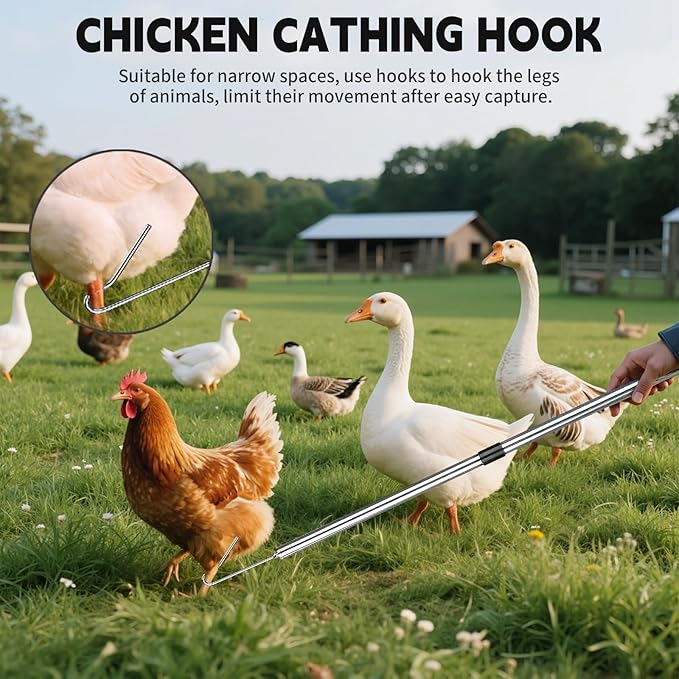 Chicken Catcher 3 in 1 Kit,Adjustable from 33" to 79" Chicken Net with 2 Folding Catching Nets & Chicken Leg Hook.Suitable for Catching Chicken,Ducks,Fish,Birds,Poultry and Animals（15.3" x 23.2" Net）