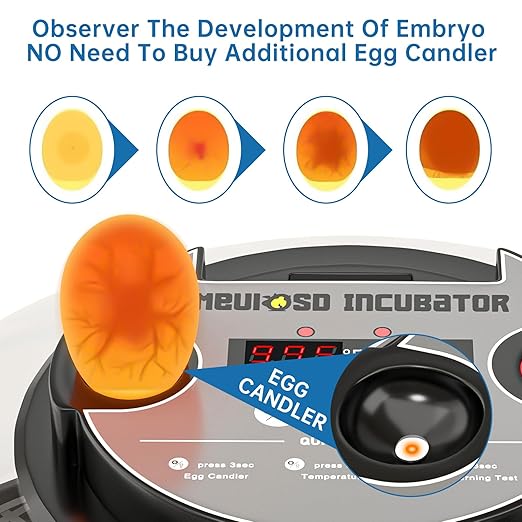 12-24 Egg Incubator with Humidity Display, Egg Candler, Automatic Egg Turner, for Hatching Chickens Duck Quail Parrot