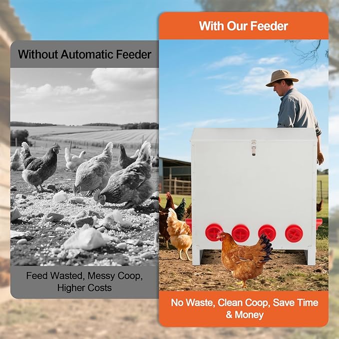 Large Automatic Chicken Feeder 85-120lbs, Galvanized Metal Chicken Food Dispenser, Rainproof & Rodent Proof No Waste Poultry Feeder for Backyard Coop, Farm, Ducks & Hens (6 Ports)