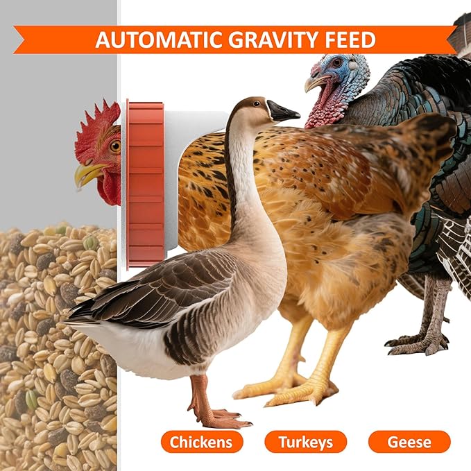 Automatic Metal Poultry Feeder No Waste Large Capacity 85-120LBS Weatherproof Animal-Proof 10-Port for Chickens, Geese, Ducks, Turkeys, Quails