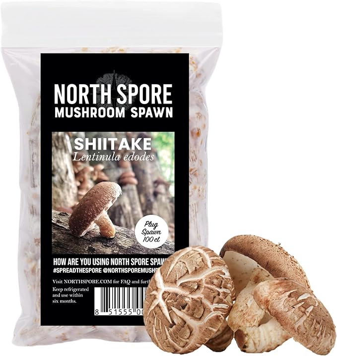 North Spore Log Inoculation Bundle | 100 ct Shiitake, Lions Mane, and Blue Oyster | Wax, Daubers, Drill Bit | Grow Mushrooms on Outdoor Logs | Premium Quality Mushroom Plug Spawn | Handmade in USA