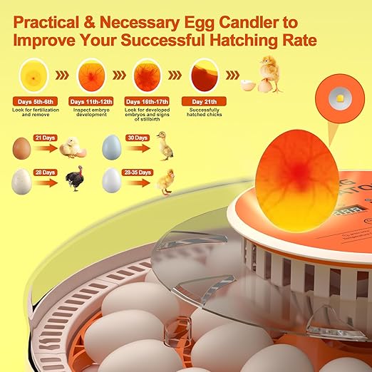 30 Egg Incubators for Hatching Chicken/Quail/Pigeon/Birds Eggs, Incubator with Automatic Egg Turning/Temperature Control/Humidity Display/Egg Candler/360°View/Fully Automatic, for Beginner/Farm/Home