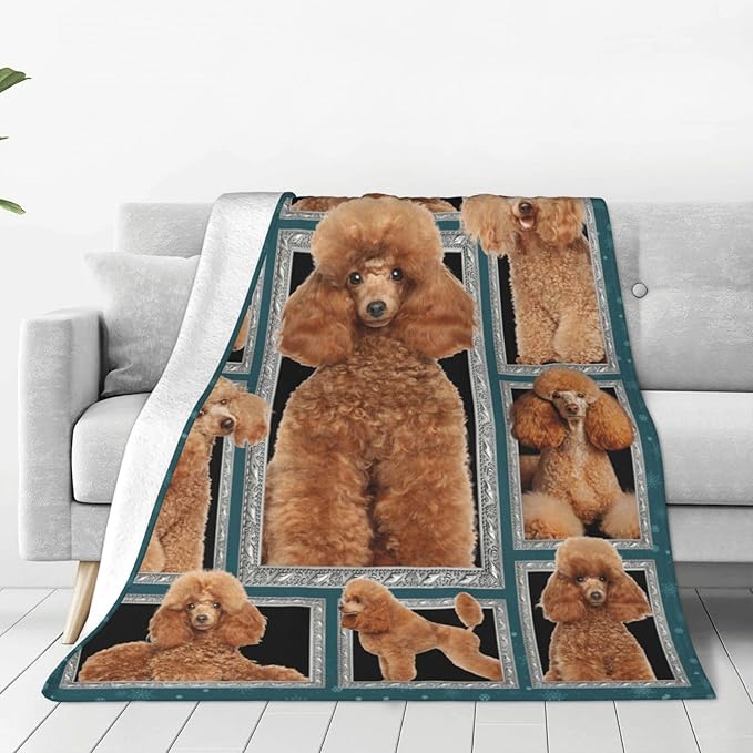 Poodle Blanket Poodle Puppy Decor Throw Blanket Super Soft Flannel Lightweight Fluffy Plush Cozy Fuzzy Fleece Stuff Blanket Gifts for Dog Lovers Woman Girls Boys Adults Man for Bedding Sofa 50"X60"