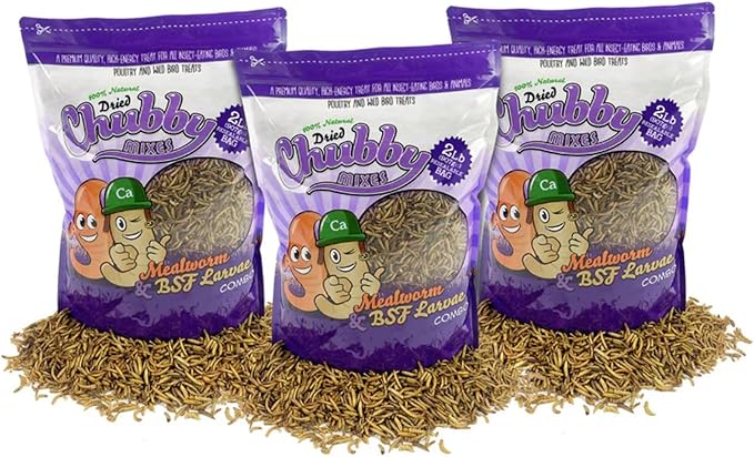 Chubby Mix Mealworm & Black Soldier Fly Larvae | 6 lbs | Non-GMO High-Protein Dried Insects for Chickens, Ducks & Wild Birds – Calcium-Rich Chicken Treats