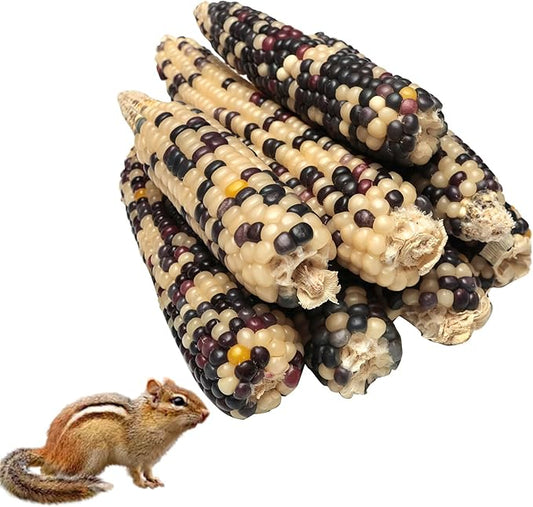 8PCS Hamster Chew Toys Corn Shape – Small Animal Molar Snacks for Hamsters, Syrian Hamsters, Rats, Gerbils – Teeth Grinding Treats for Cage Enrichment