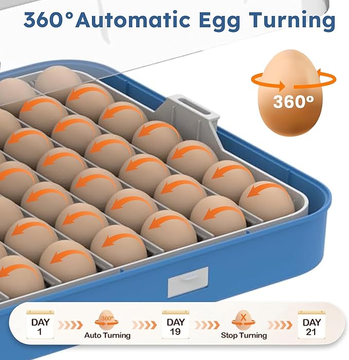 Egg Incubator for Hatching 70 Chicken, Duck, Quail & Goose Eggs – Automatic Egg Turner, Humidity & Temperature Control, Built-in LED Candler, Auto Water Refill, 360° Clear View Digital Poultry Hatcher