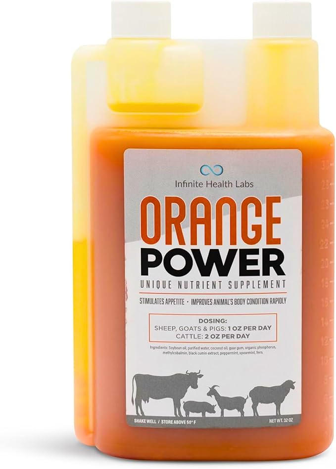 Orange Power Nutrient Supplement for Show Cattle, Sheep, Goats and Pigs - Appetite Stimulant & Performance Booster - Liquid Formula with B12 & Phosphorus (32 Fl Oz.)