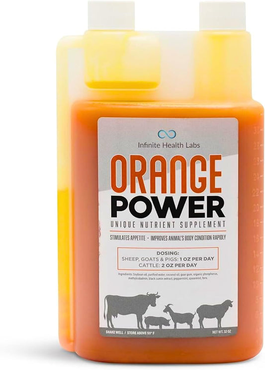 Orange Power Nutrient Supplement for Show Cattle, Sheep, Goats and Pigs - Appetite Stimulant & Performance Booster - Liquid Formula with B12 & Phosphorus (32 Fl Oz.)