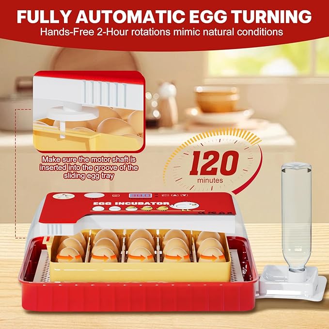 Incubators for Hatching Eggs 15-35 Eggs Incubator with Automatic Egg Turning and ℉Temperature Display LED Candler Poultry Incubator for Hatching Chicken Duck and Quail Incubator (Red)