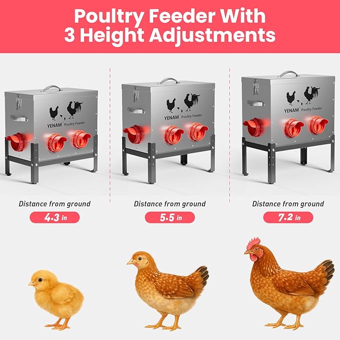 40 lb Automatic Chicken Feeder No Waste, 6 Feeding Port Large Metal Chicken Feeders, Poultry Feeder with Adjustable Height Base & Locking Lid, Rat Proof Chick Feeder for Chickens, Ducks & Geese