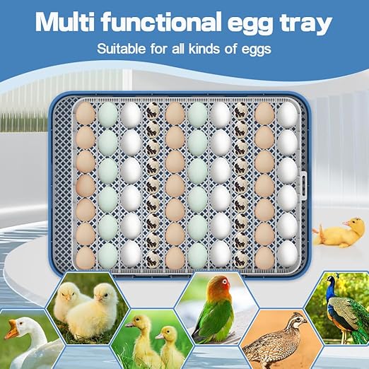 HOWOOlUA 70 Egg Incubator for Hatching Eggs withAuto Turn, Temp & Humidity Control, Built-in CandleLarge Capacity Egg Incubator for Chicken Duck GooseEggs