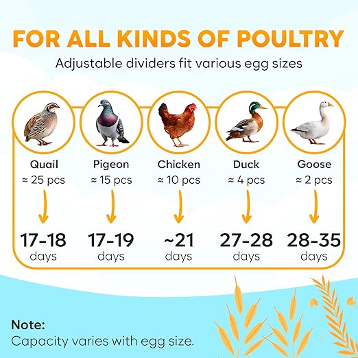 12 Egg Incubator with Automatic Egg Turning and Humidity Control – Egg Incubators for Hatching Eggs – Egg Candler, Water Bottle Refill, Air Vent, 360° View – Incubadora de Huevos de Gallina