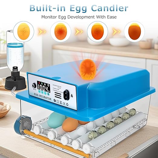 Automatic Egg Incubator 16 Egg Incubators for Hatching Eggs with Temperature Control Humidity Control and Display for Goose Chicken Duck Quail Pigeon Eggs Auto Turner, Blue