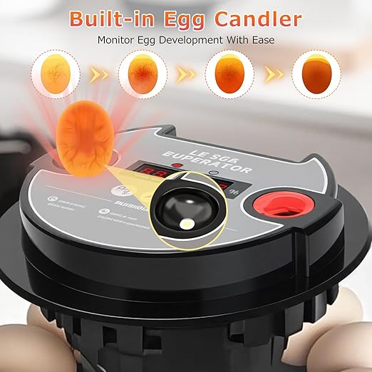 12 Egg Incubators for Hatching Eggs Automatic Egg Incubator with Temperature Control Humidity Control and Display for Chicken Duck Quail Eggs Auto Turner, Black red