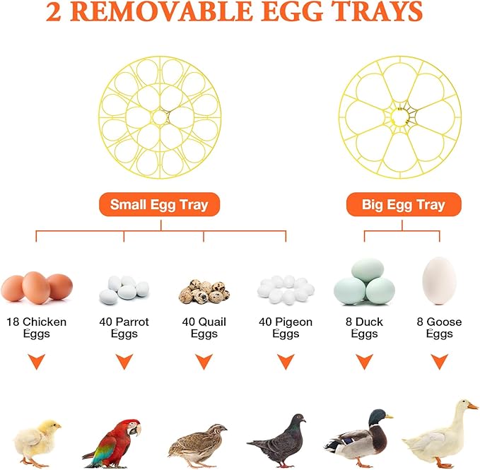 Egg Incubator for Hatching Eggs,Automatic Egg Turning and Humidity Control,Incubators for Chicken, Ducks, Goose, Pigeon, Quail, Parrot Incubator for Farm, Lab, Science Classroom, Home -18 Egg Capacity