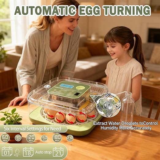 XOTTI Incubator for Hatching Egg, 12 Egg Incubators with Temperature and Humidity Control, Automatic Turner, Candler, 360° Viewing for Dry Hatch Chicken, Duck, Quail, Goose, Parrot and Pigeon