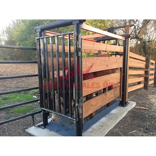 Liberty LS-929 Livestock Scale for Cattle, Measures 85" x 26" x 5, Size M-7’x26 with LCD Display Indicator