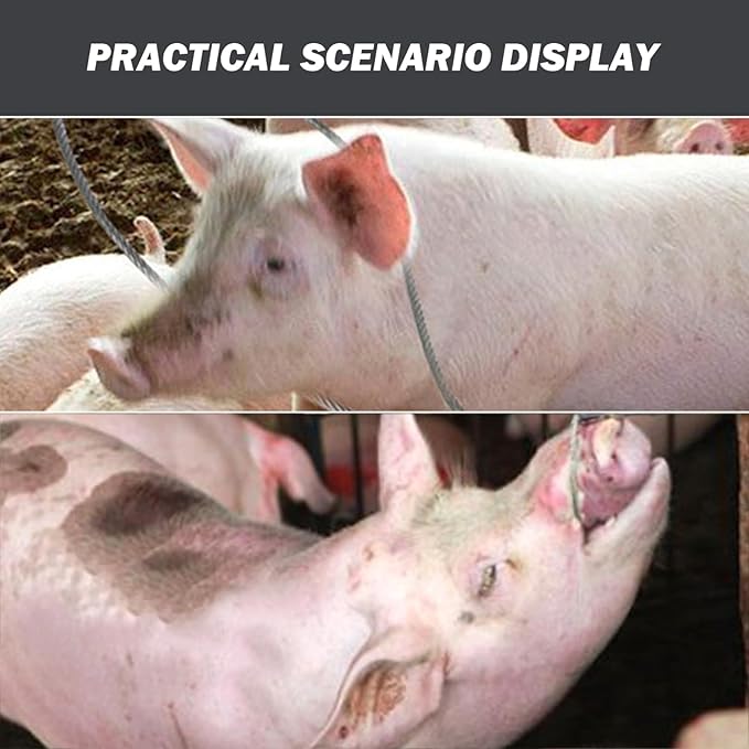 Animal Catch Pole, 19in Stainless Steel Adjustable Ring Catcher for Dog Pig Control, Heavy Duty Farm Animal Handling Tool