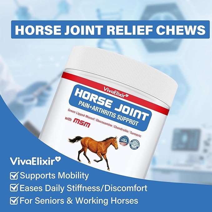 Joint Equine Supplement - Support for Joint Integrity and Inflammatory Response in Horses - Green-Lipped Mussel, MSM, Glucosamine 120 chew