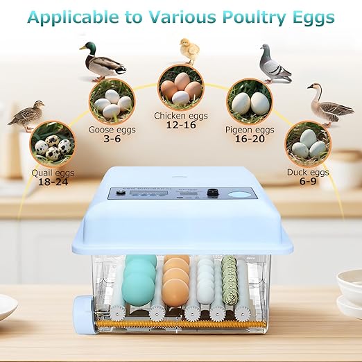 Incubators for Hatching Eggs 16 Egg Automatic Egg Incubator with Temperature Control Humidity Control and Display for Goose Chicken Duck Quail Pigeon Eggs Auto Turner,Light Blue