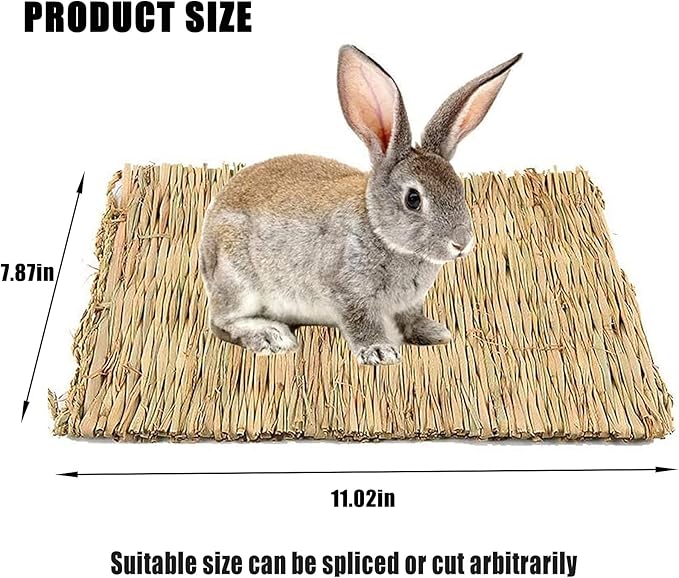 Hamiledyi 20 Pack Bunny Grass Mat Woven Bed Mat Natural Straw Hay Mats Rabbit Handmade Bedding Sleeping Grinding Nesting and Chewing Toy for Guinea Pig Hamster Chinchilla Squirrel Hedgehog