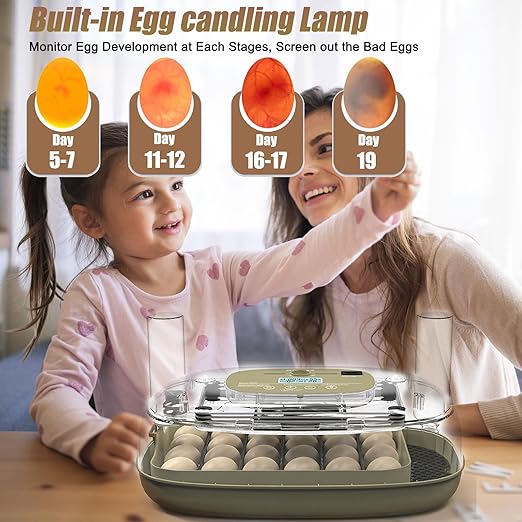 Incubators for Hatching Eggs, 24 Egg Incubator with Automatic Turning and Humidity Control, 360° View Incubadora De Huevos De Gallina, Egg Candler, Incubator for Chicken Eggs, Ducks, Goose, Quail