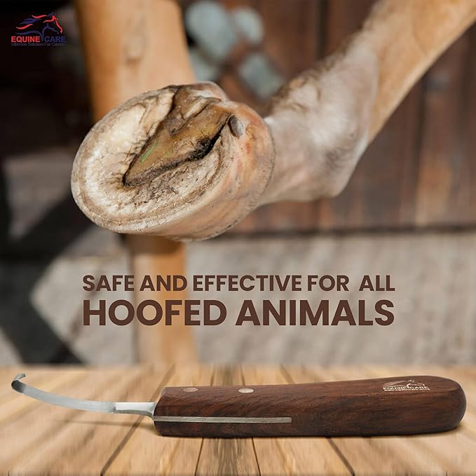 Equine Care Right-Handed Hoof Knife – Razor Sharp Short J2 Steel Blade, Professional Farrier Tool for Horse Hoof Trimming, Goats, Sheep & Livestock | Ergonomic, Rust-Resistant Wooden Handle.