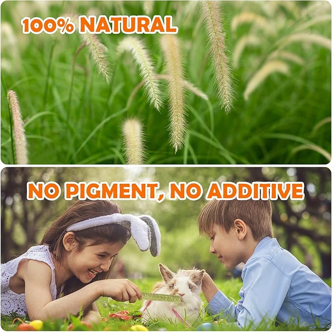 Sofier 40Pcs Timothy Hay Sticks 380g for Rabbit, Guinea Pig, Hamster - Natural Treats and Chews for Teeth - Chinchilla, Rat, Gerbil