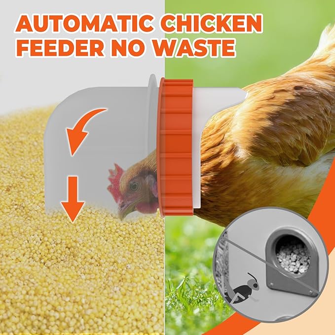 Metal Chicken Feeder No Waste 10 Ports Automatic Poultry Feeder Large Capacity 85 Pounds with Latch & Handle for Chickens Bantams Pheasants Poultry Coop Weatherproof