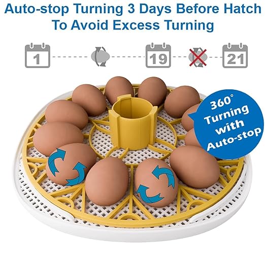 Egg Incubator for Hatching Chicks, 12-24 Egg Incubators with Auto Turning, Automatic Water Top-up, Fahrenheit Display, 360° View Poultry Incubator for Hatching Chicken Duck Quail Parrot