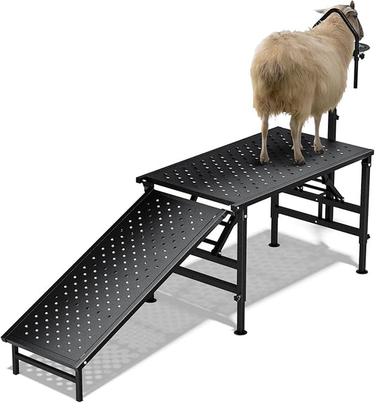 Professional Goat Milking and Trimming Stand with Ramp, Sheep and Goat Grooming Platform, Livestock Care Equipment (Black with Ramp)