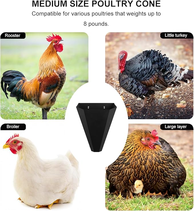 Medium Size Chicken Cone, Metal Poultry Restraining Cone for Butchering Chickens, Layers, Broilers, Roasters & Small Turkeys (Up to 8 lbs), Flat-Back Design Poultry Killing Cone, Easy to Clean, 2-Pack