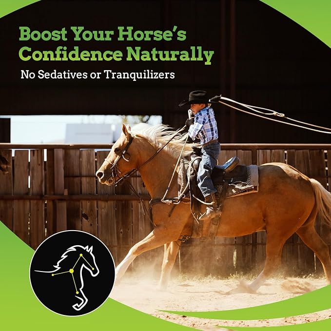 SynChill AF Behavioral Support Gel for Horses – Single Serving – Advanced L-THEANINE-Free Formula, 100% Natural Supplement, Composure, Focus & Confidence Support for Horses - 5 Pack