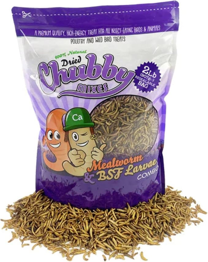 Chubby Mix Mealworm & Black Soldier Fly Larvae | 2 lbs | Non-GMO High-Protein Dried Insects for Chickens, Ducks & Wild Birds – Calcium-Rich Chicken Treats