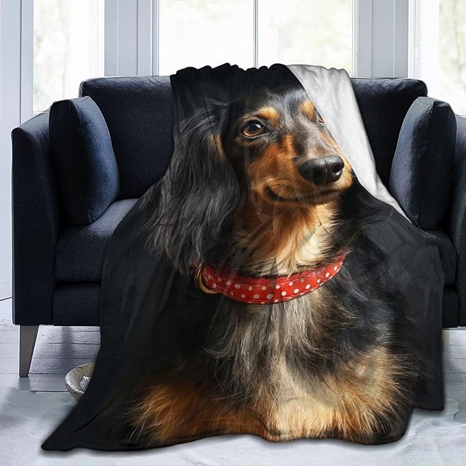Dynova Long Haired Dachshund Blanket Dog Lovers Gifts Cozy Plush Beautiful Animal Throw Blankets Fuzzy Flannel Fleece for Girls Boys Women Men 80"X60"