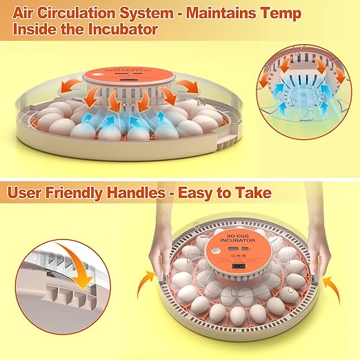 30 Egg Incubators for Hatching Chicken/Quail/Pigeon/Birds Eggs, Incubator with Automatic Egg Turning/Temperature Control/Humidity Display/Egg Candler/360°View/Fully Automatic, for Beginner/Farm/Home