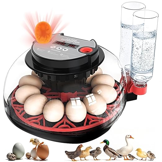 12 Egg Incubators for Hatching Eggs Automatic Egg Incubator with Temperature Control Humidity Control and Display for Chicken Duck Quail Eggs Auto Turner, Black red