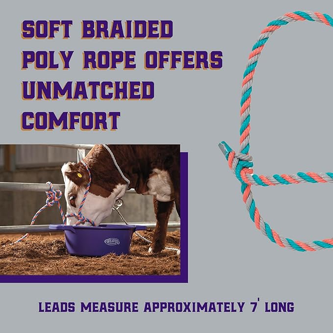 Weaver Livestock Braided Poly Rope Cattle Halter, Adjustable, Modern Style Cow Calf Halter, Livestock Handling Equipment for Showing, Coral/Gray/Teal