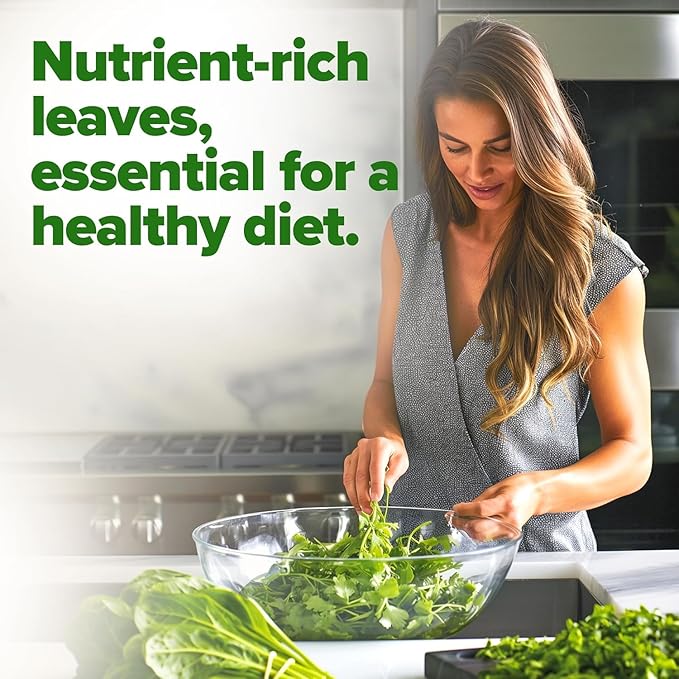 HOME GROWN Bloomsdale Spinach Seeds - 2 Bulk Packs (Spinacia oleracea) – 704 High Germination Heirloom Spinach Seeds for Planting – Leafy Green Lettuce – for Home Gardens