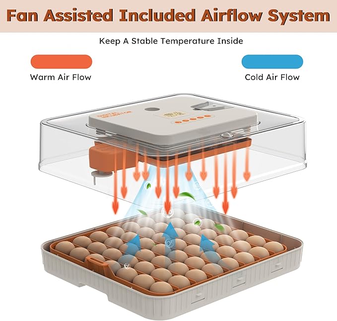 Egg Incubator for Hatching 56 Chicken, Duck, Quail & Goose Eggs – Automatic Egg Turner, Humidity & Temperature Control, Built-in LED Candler, Auto Water Refill, 360° Clear View Digital Poultry Hatcher