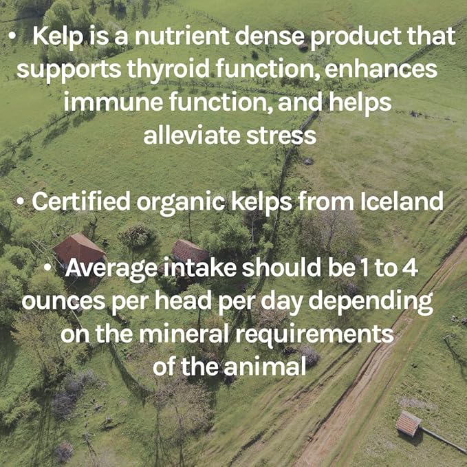 New Country Organics | Healthy Sheep Kelp Based Minerals for Sheep | Certified Organic and Non-GMO Sheep Feeder | 40 lbs