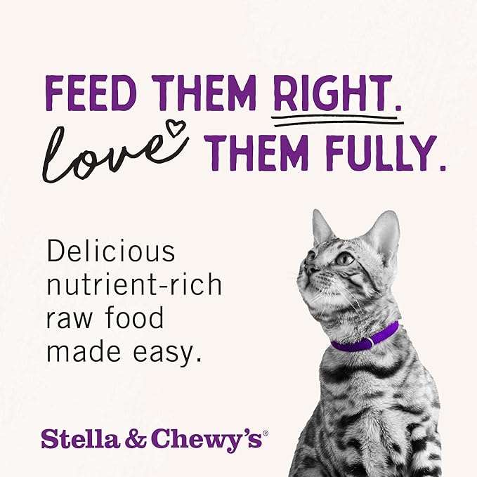 Stella & Chewy's Freeze-Dried Raw Cat Dinner Morsels - Premium Salmon & Chicken Recipe with 98% Wild-Caught & Cage-Free Protein - Natural Grain-Free Cat & Kitten Food - Made in USA - 1 oz (Pack of 2)