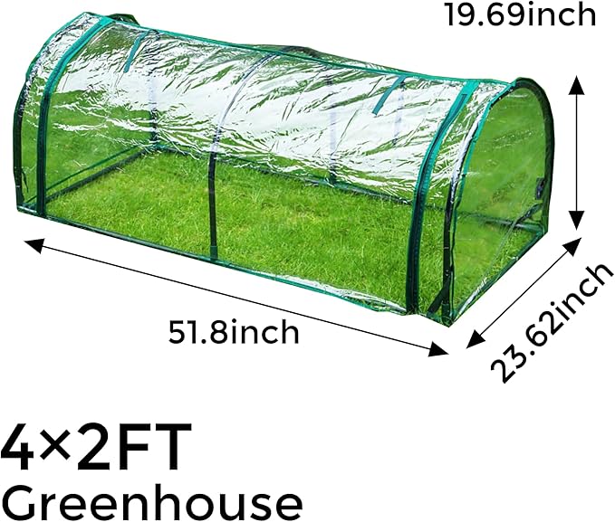 CQZY 4×2FT Greenhouse for Outside,Clear