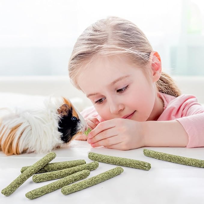 Sofier 40Pcs Timothy Hay Sticks 380g for Rabbit, Guinea Pig, Hamster - Natural Treats and Chews for Teeth - Chinchilla, Rat, Gerbil
