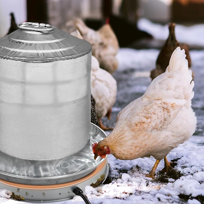 Poultry Chicken Water Heater: Chicken Water Heater Base for Winter, for Plastic/Metal Poultry Watere Under 3 Gallons(11 inch), Heated Waterer for Chickens 125W